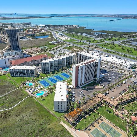 1204 Saida I - Beach Front Юг Падре Айленд Экстерьер фото
